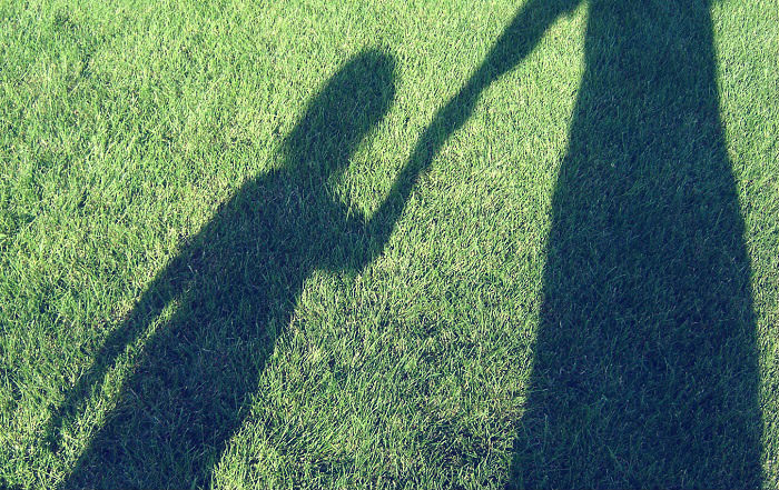 shadow on grass of adult holding hands with child